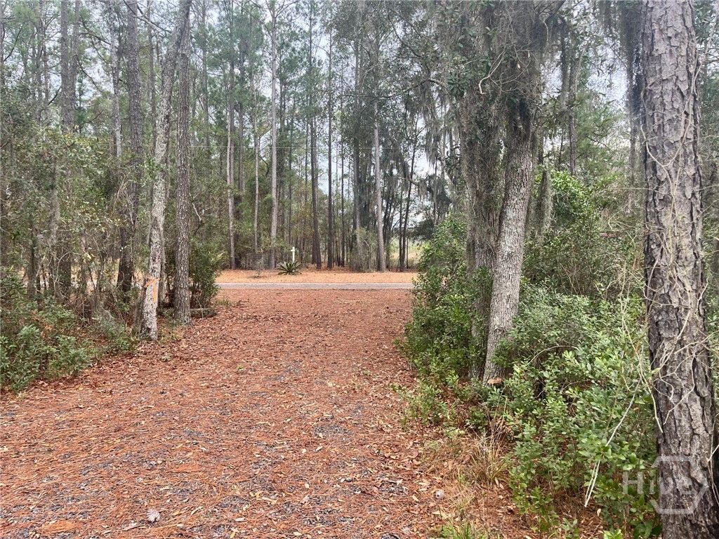 Image 53 of property listing at Tract 4 S Newport Drive NE, Townsend, GA 31331