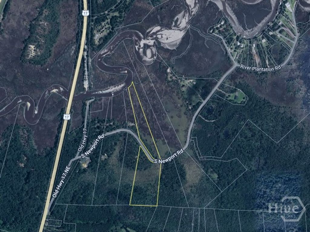 Image 54 of property listing at Tract 4 S Newport Drive NE, Townsend, GA 31331