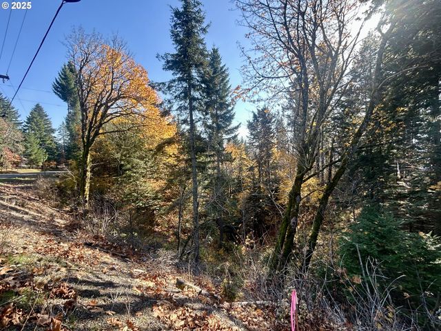 9562 Cook-Underwood Rd, Underwood, WA 98651