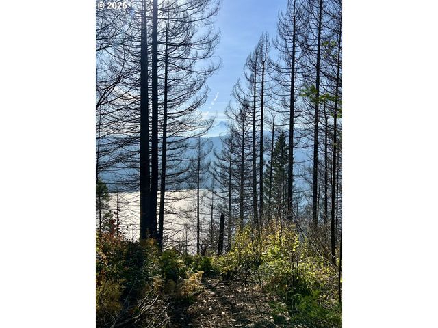 9562 Cook-Underwood Rd, Underwood, WA 98651