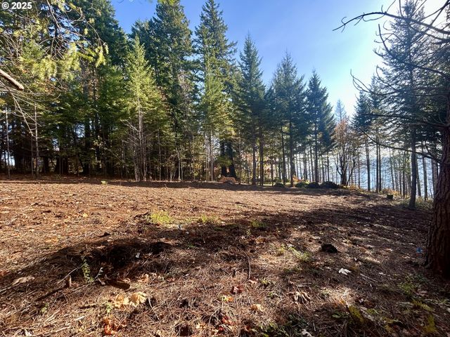 9562 Cook-Underwood Rd, Underwood, WA 98651