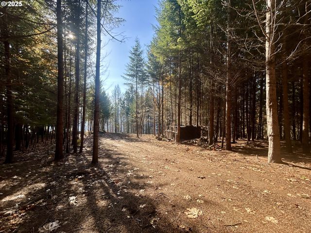 9562 Cook-Underwood Rd, Underwood, WA 98651