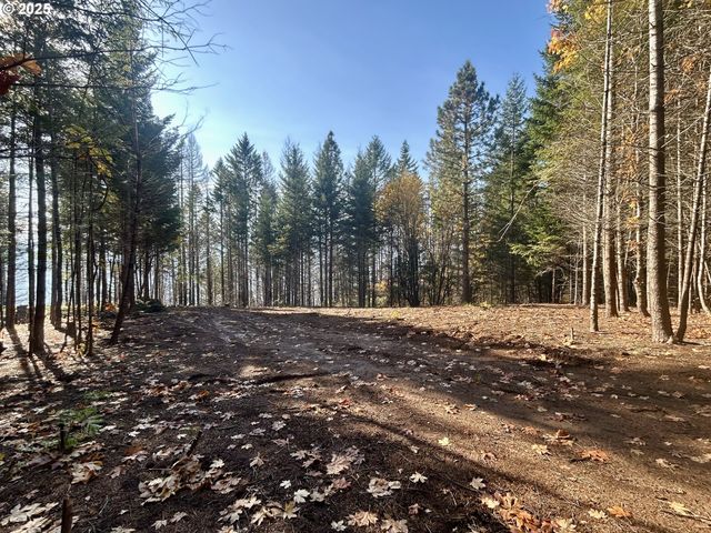 9562 Cook-Underwood Rd, Underwood, WA 98651