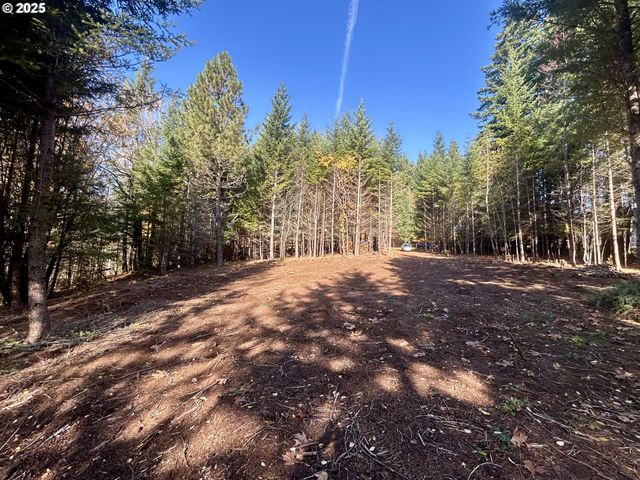 9562 Cook-Underwood Rd, Underwood, WA 98651