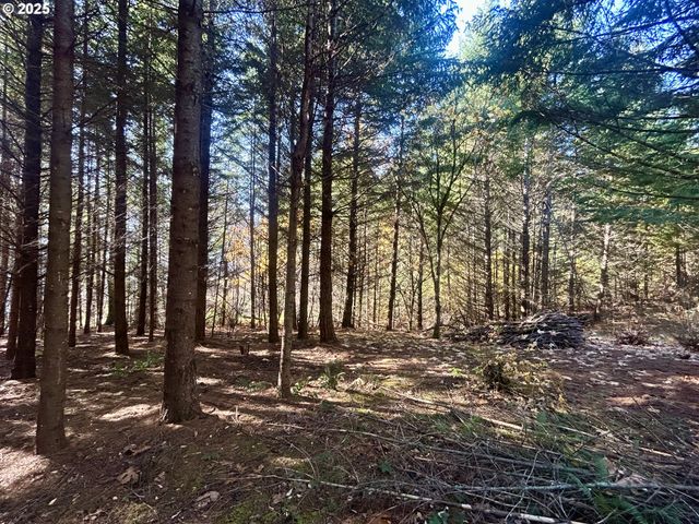 9562 Cook-Underwood Rd, Underwood, WA 98651