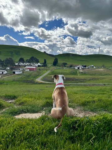 3326 Dyer Rd, Livermore, CA 94551