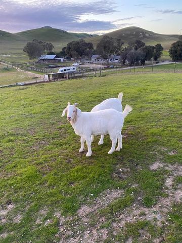 3326 Dyer Rd, Livermore, CA 94551