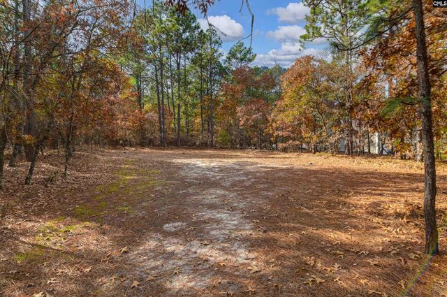 120 Morningwood Drive, Lexington, SC 29073