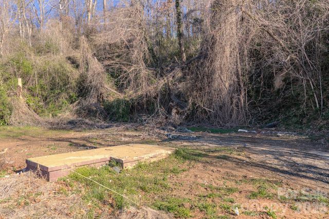 16 Governors View Road, Asheville, NC 28805