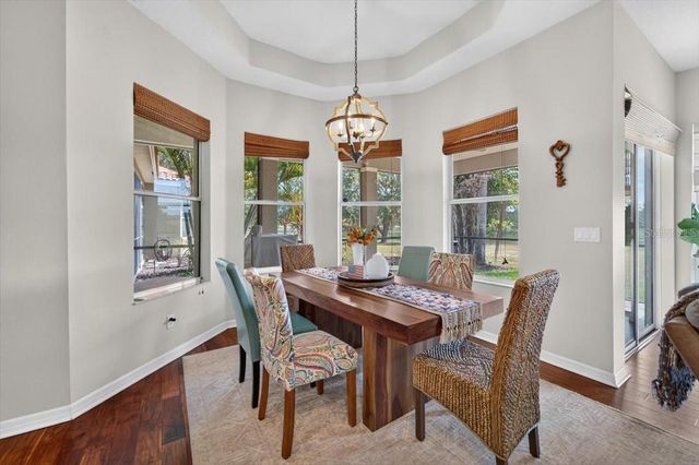5325 LAKE SIENA DRIVE, Wimauma, FL 33598