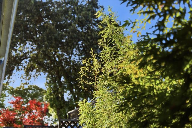 852 Peach Avenue, Sunnyvale, CA 94087