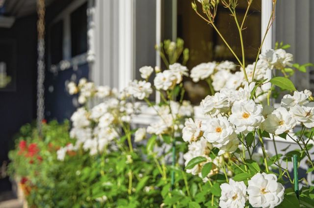 852 Peach Avenue, Sunnyvale, CA 94087