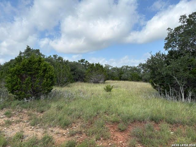 351 RIDGE PT, Spring Branch, TX 78070