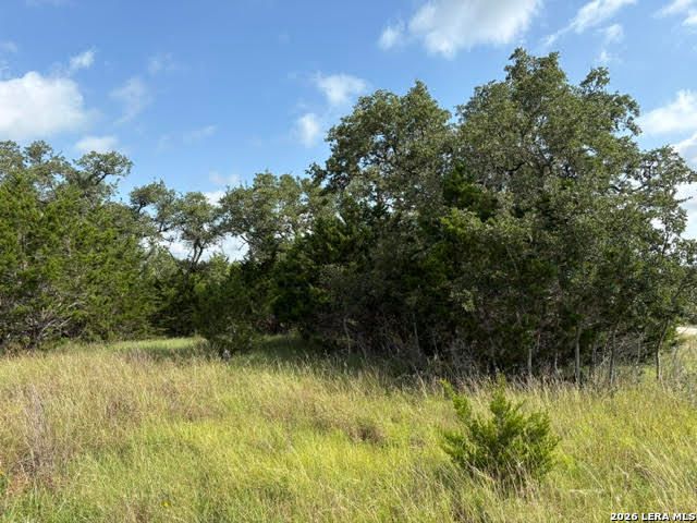 351 RIDGE PT, Spring Branch, TX 78070
