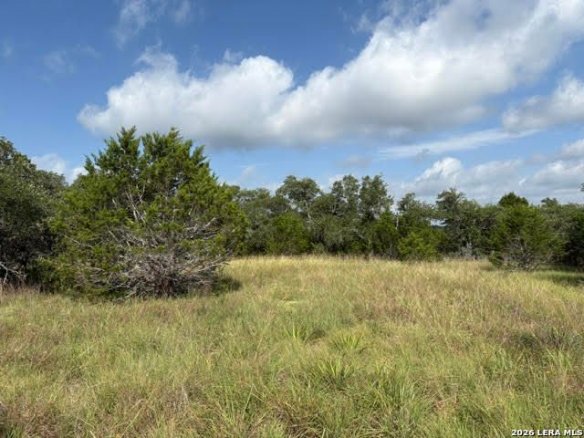 351 RIDGE PT, Spring Branch, TX 78070