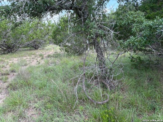 351 RIDGE PT, Spring Branch, TX 78070