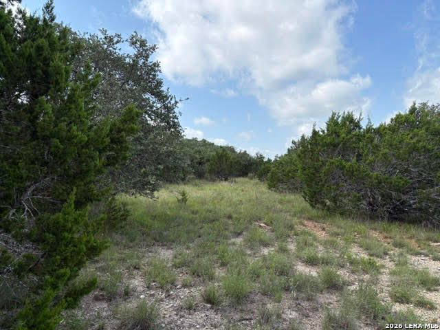351 RIDGE PT, Spring Branch, TX 78070