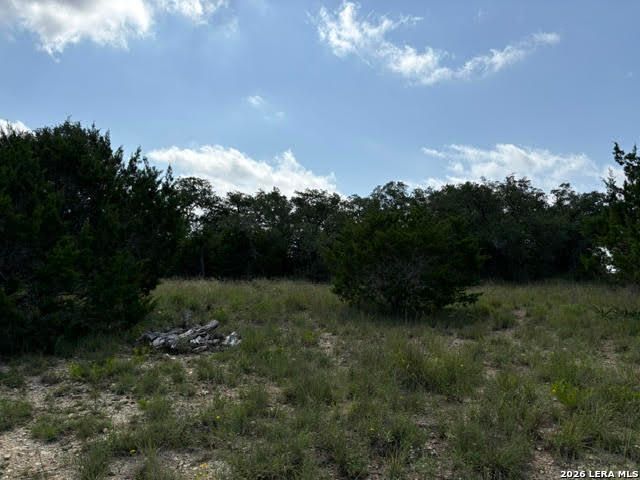 351 RIDGE PT, Spring Branch, TX 78070