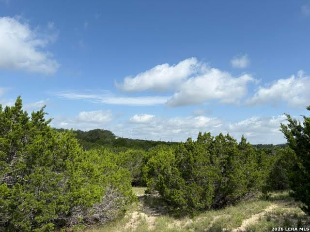351 RIDGE PT, Spring Branch, TX 78070