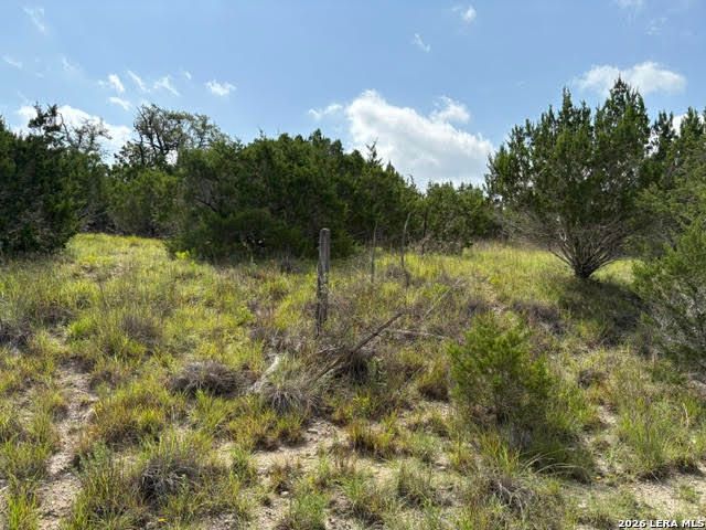 351 RIDGE PT, Spring Branch, TX 78070