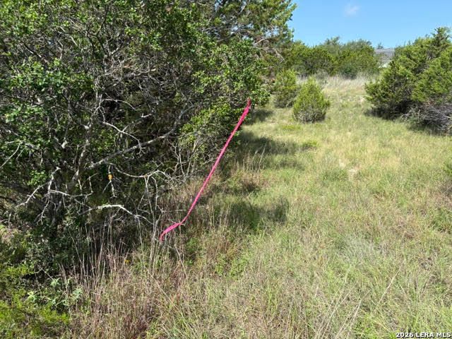 351 RIDGE PT, Spring Branch, TX 78070