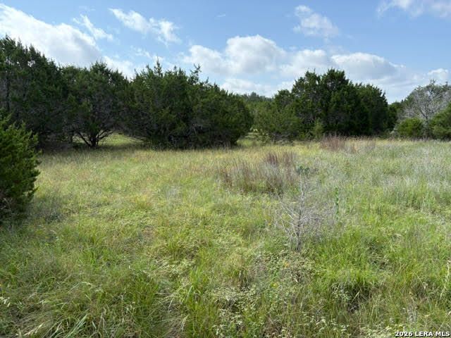 351 RIDGE PT, Spring Branch, TX 78070