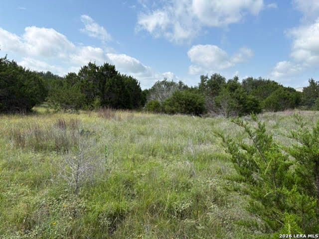 351 RIDGE PT, Spring Branch, TX 78070