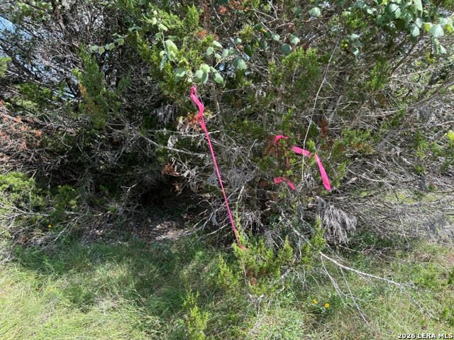 351 RIDGE PT, Spring Branch, TX 78070