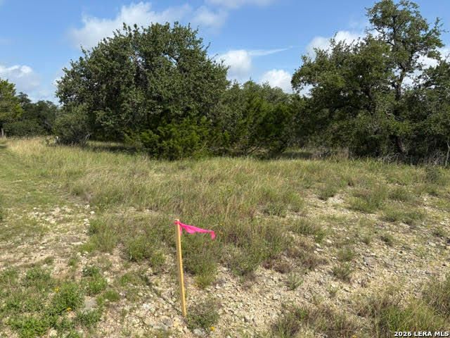 351 RIDGE PT, Spring Branch, TX 78070