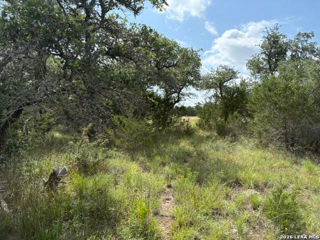 351 RIDGE PT, Spring Branch, TX 78070