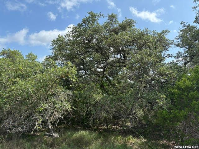 351 RIDGE PT, Spring Branch, TX 78070