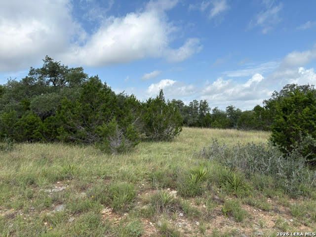 351 RIDGE PT, Spring Branch, TX 78070