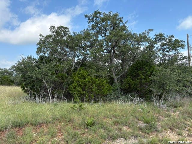 351 RIDGE PT, Spring Branch, TX 78070