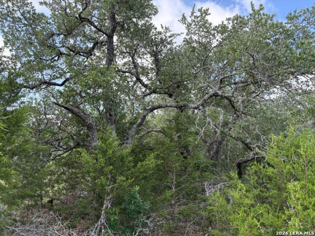 351 RIDGE PT, Spring Branch, TX 78070