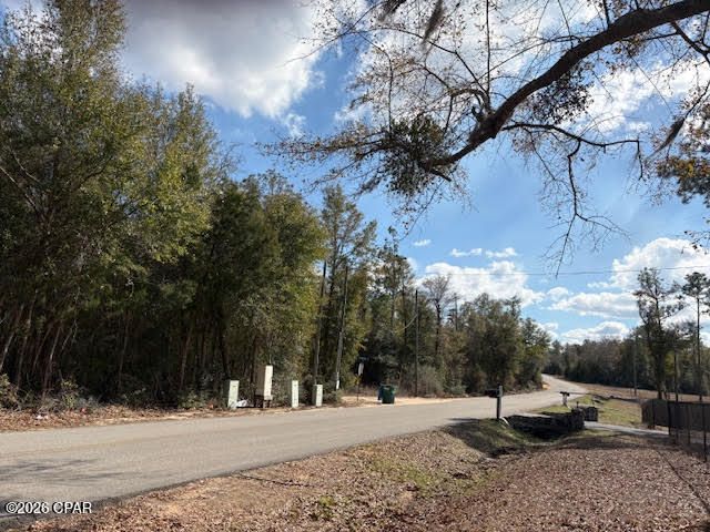 24798 NW County Road 73a, Altha, FL 32421