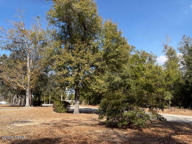 24798 NW County Road 73a, Altha, FL 32421