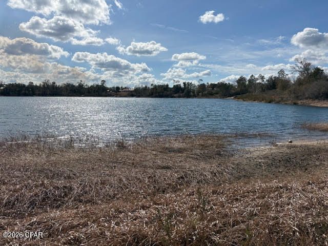 24798 NW County Road 73a, Altha, FL 32421