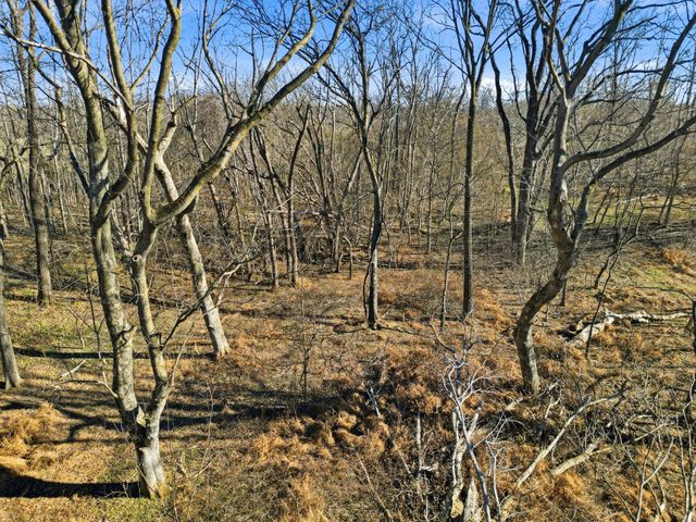 5220 Jones Chapel Rd, Cedar Hill, TN 37032