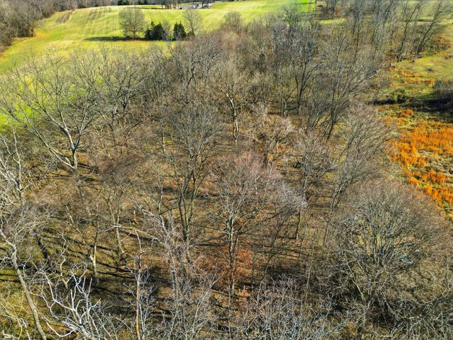 5220 Jones Chapel Rd, Cedar Hill, TN 37032