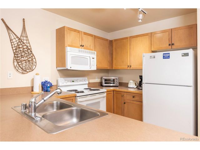 105 Wheeler Cir 434, Frisco, CO 80443