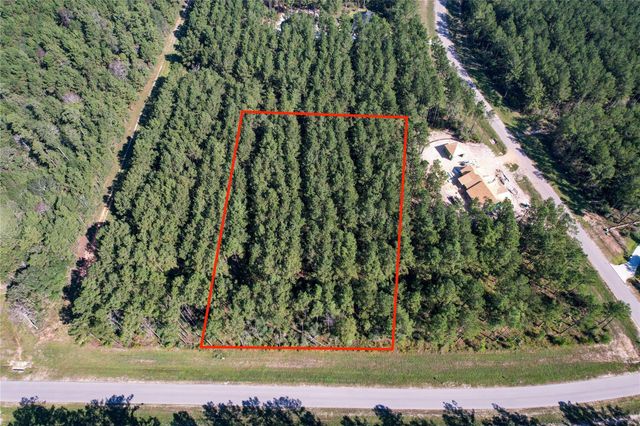 15336 Red Hawk Road, Willis, TX 77378