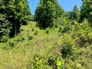 Lot#141 Peaceful Valley Rec Retreat, Beattyville, KY 41311