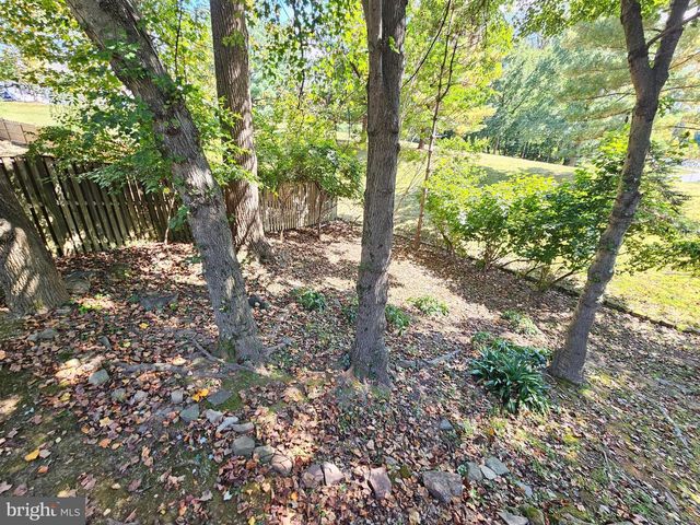 11321 CLASSICAL LN, Silver Spring, MD 20901