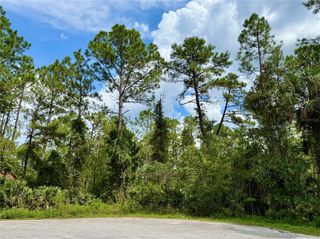 LOT 3 TAMARAC STREET, Eustis, FL 32736
