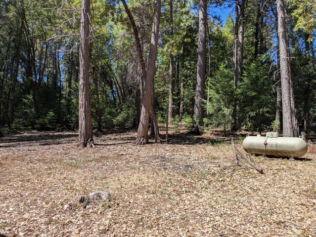 14365 N Bloomfield Rd, Nevada City, CA 95959