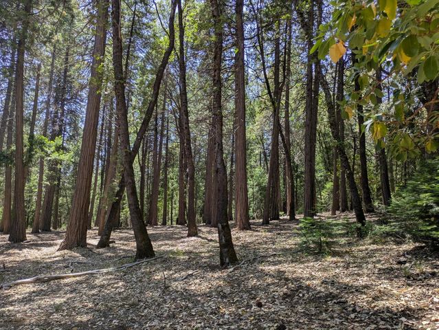 14365 N Bloomfield Rd, Nevada City, CA 95959