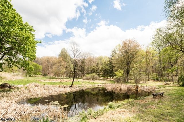 145 Mt Grove Rd, Lebanon Twp., NJ 07830