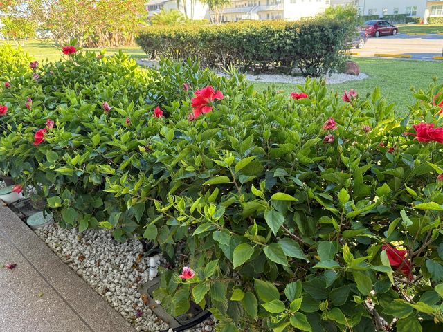 81 Camden Drive D, West Palm Beach, FL 33417