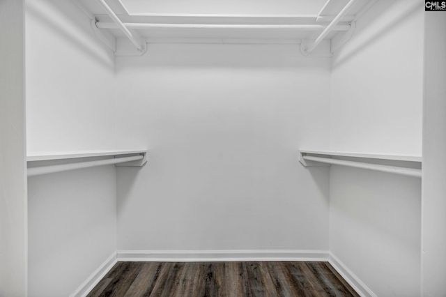 120 West Horn Court, Chapin, SC 29036