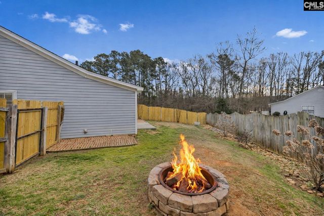 120 West Horn Court, Chapin, SC 29036